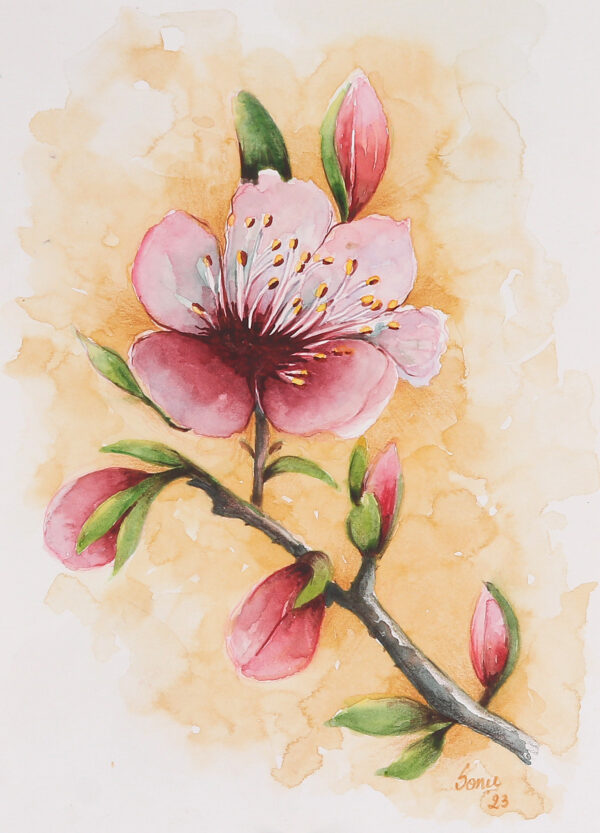 Cherry Blossom Branch-Themed Watercolor on Paper Painting, 'Blossoms of Spring' Cherry Blossom Branch-Themed Watercolor on Paper Painting, 'Blossoms of Spring'