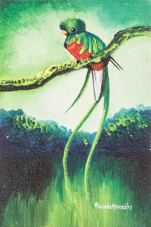 Signed Acrylic and Oil Painting of Quetzal and Waterfall, 'Quetzal at the Waterfalls'