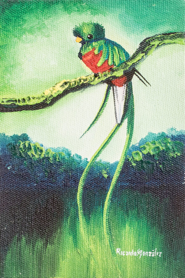 Signed Acrylic and Oil Painting of Quetzal and Waterfall, 'Quetzal at the Waterfalls'