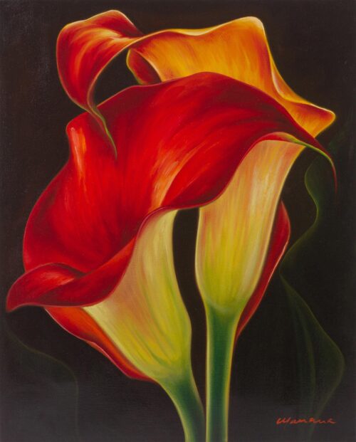 Signed Oil Painting of Red Calla Lilies in the Darkness, 'Two Calla Lilies'