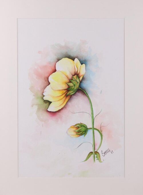 Signed Realist Painting of a Yellow Flower from India, 'Yellow Wonder'
