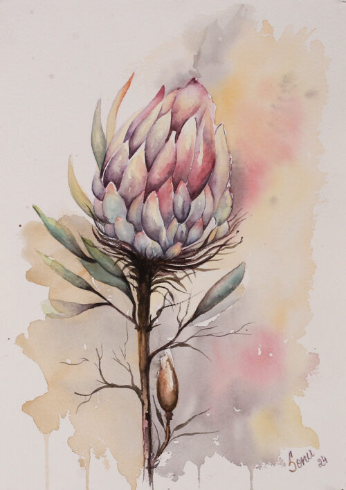 Watercolor Impressionist Protea Flower Still Life Painting, 'Protea Dreams'