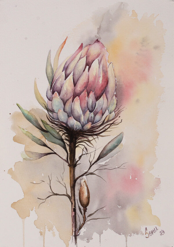 Watercolor Impressionist Protea Flower Still Life Painting, 'Protea Dreams'