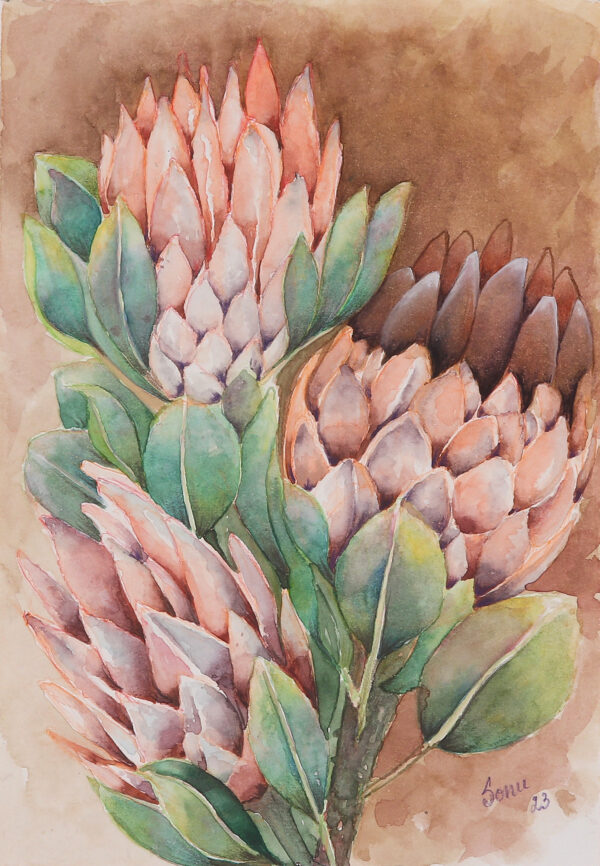 Watercolor on Paper Painting of Protea Flowers with Leaves, 'Protea Splendour' Watercolor on Paper Painting of Protea Flowers with Leaves, 'Protea Splendour'