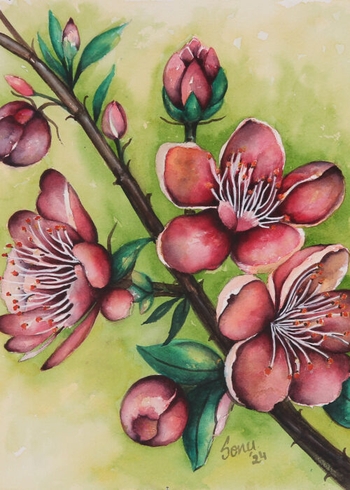 Watercolor Painting of a Branch with Cherry Blooms and Buds, 'Cherry Blossom Dreams' Watercolor Painting of a Branch with Cherry Blooms and Buds, 'Cherry Blossom Dreams'