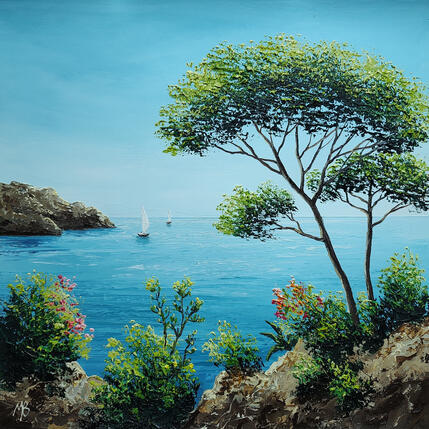 Ressources du sud