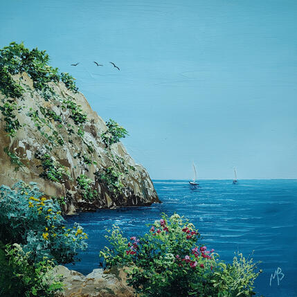 Survol des calanques